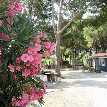 Campsite Le Bois De Pins