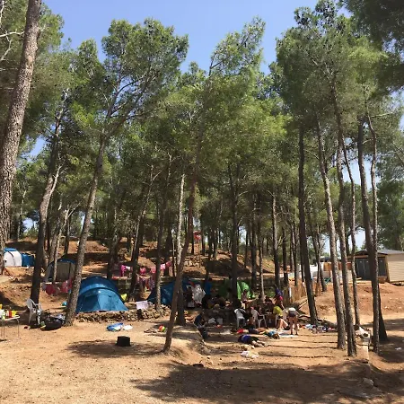 Le Bois De Pins 3*