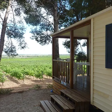 Le Bois De Pins Salses-le-Chateau