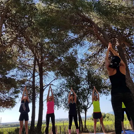 Le Bois De Pins Salses-le-Chateau