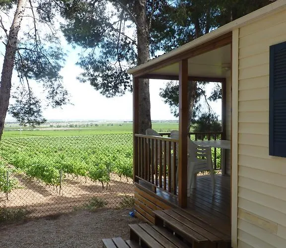 Le Bois De Pins Salses-le-Château