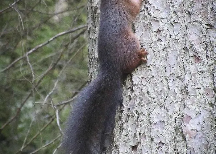 Le Bois De Pins Campingplads Salses-le-Château