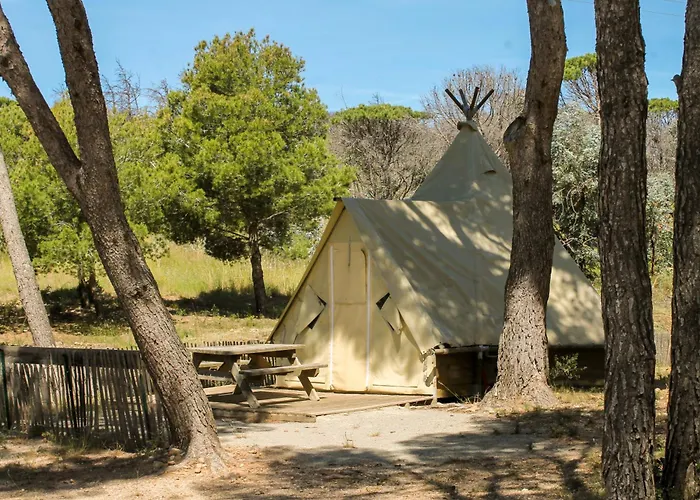 Le Bois De Pins Campingplads