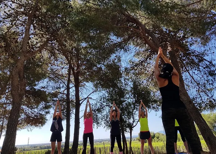 Le Bois De Pins Salses-le-Château